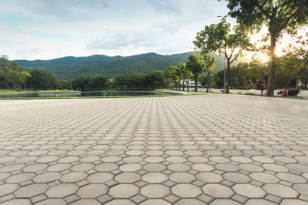 Best Best Driveway Pavers  in Gibson City, IL